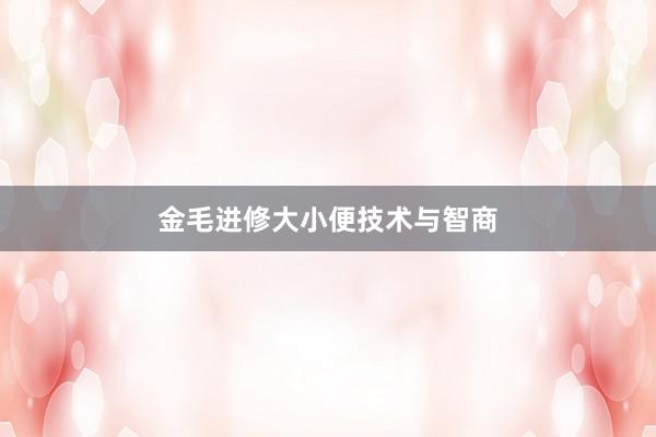 金毛进修大小便技术与智商