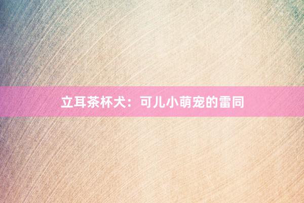 立耳茶杯犬:可儿小萌宠的雷同